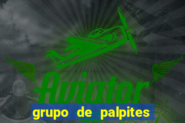 grupo de palpites de futebol whatsapp